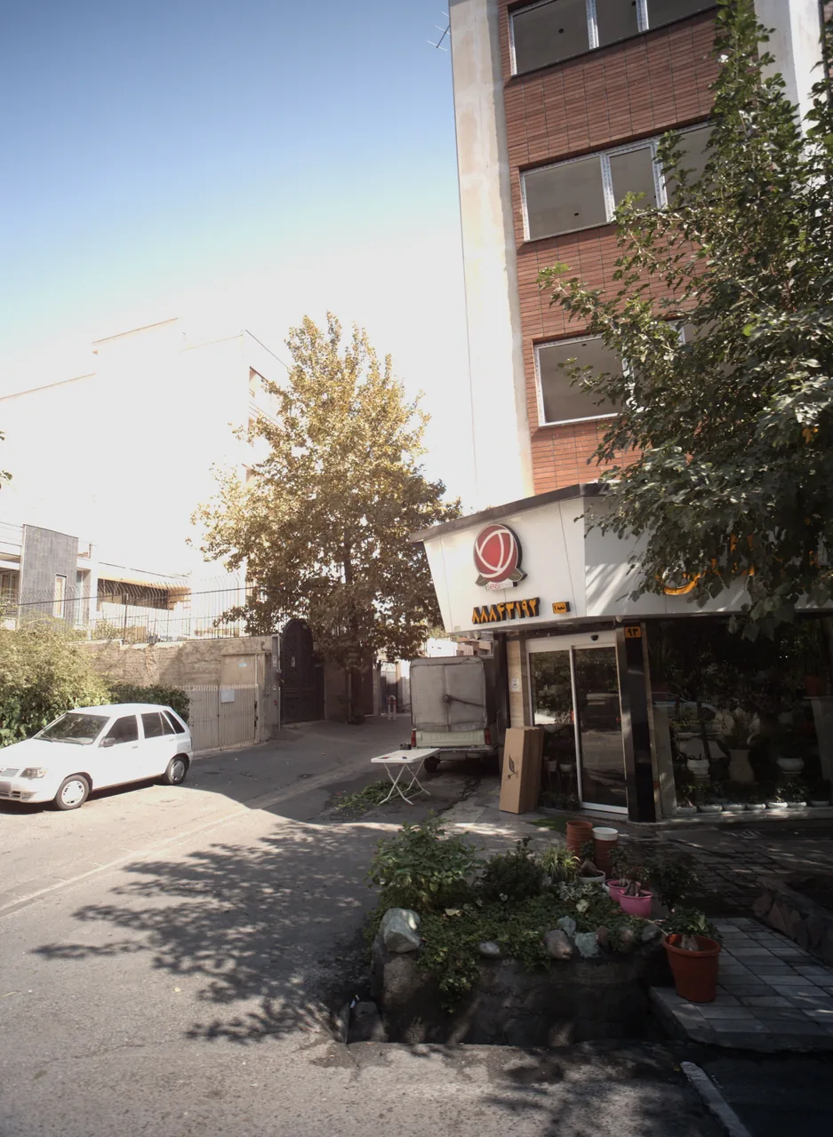 گلفروشی سن سی