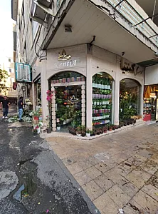 موسسه گل کنتیا