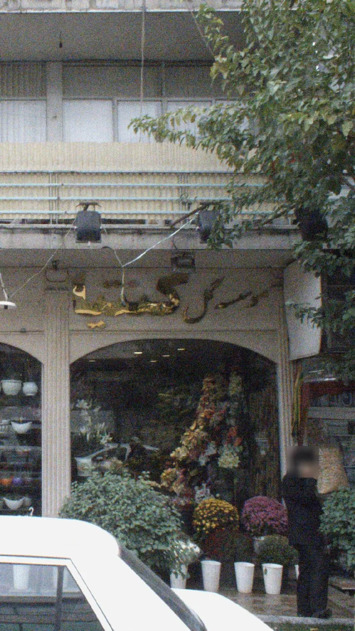 موسسه گل کنتیا - گل‌فروشی در تهران - تصویر 5