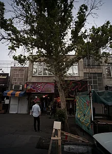 گالری گل میلاد