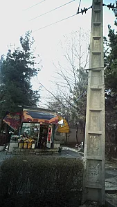 دکه گل فروش