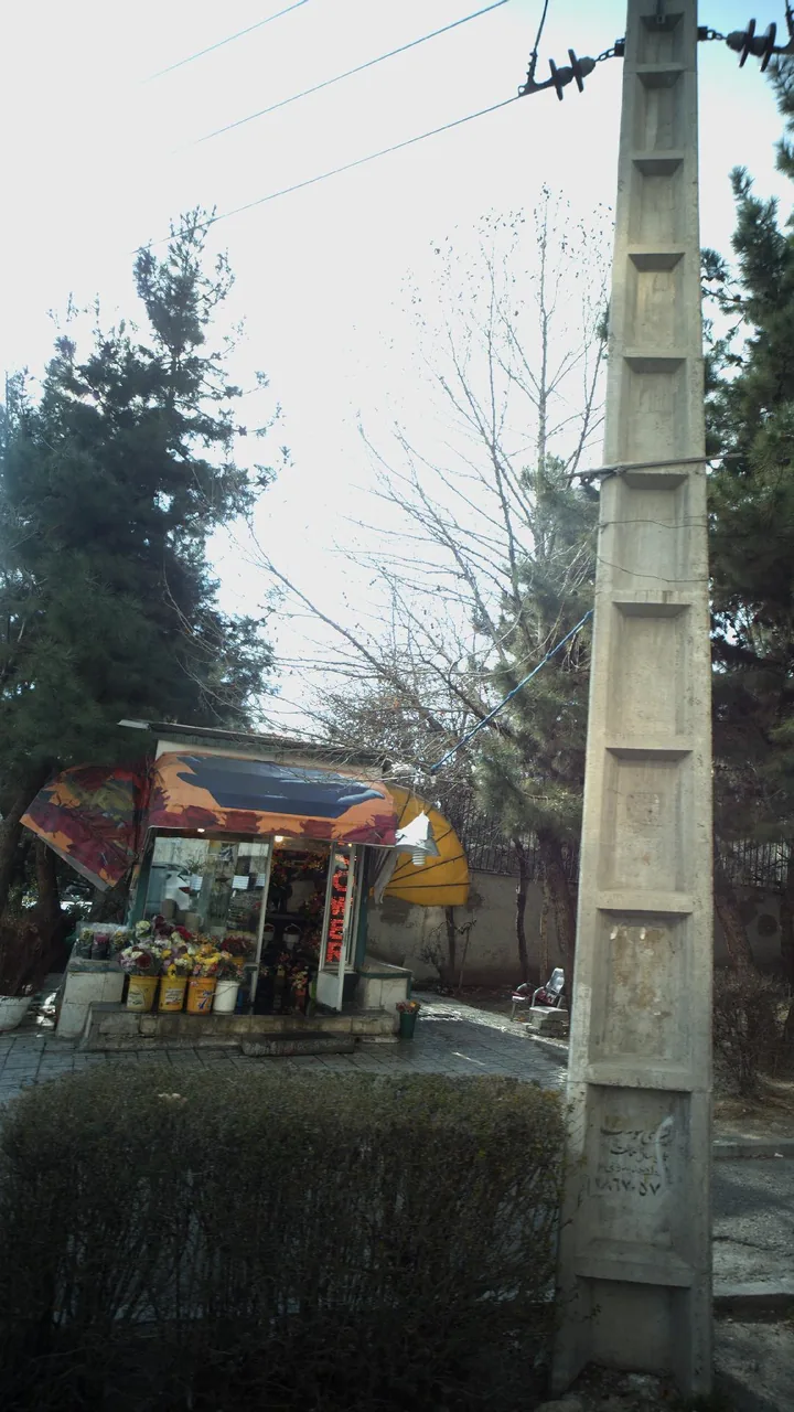 دکه گل فروش