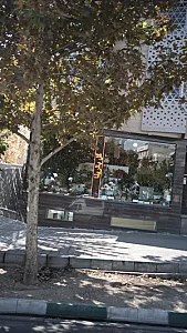 گل بالرینا