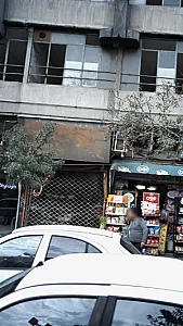 گل ناز