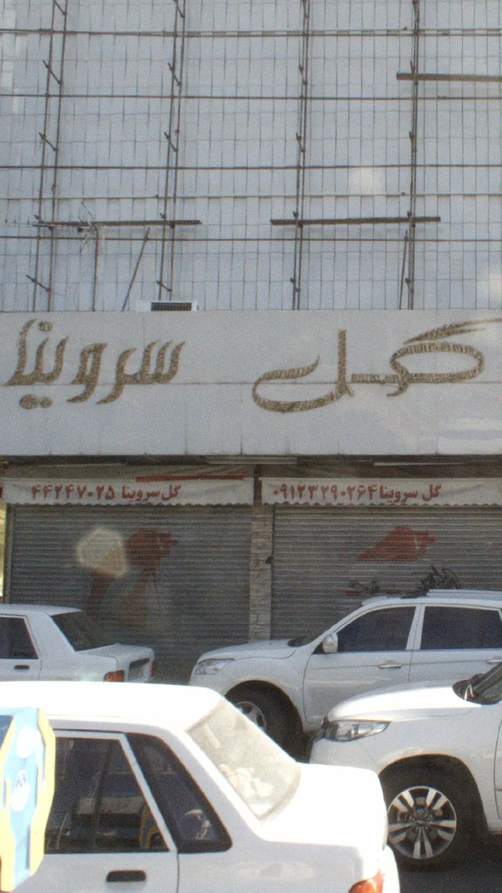 گل سروینا - تصویر 2