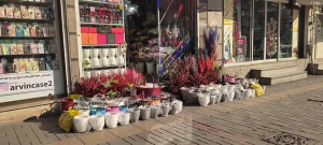 قصر گل میلاد