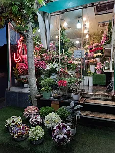 گلفروشی ولنجک