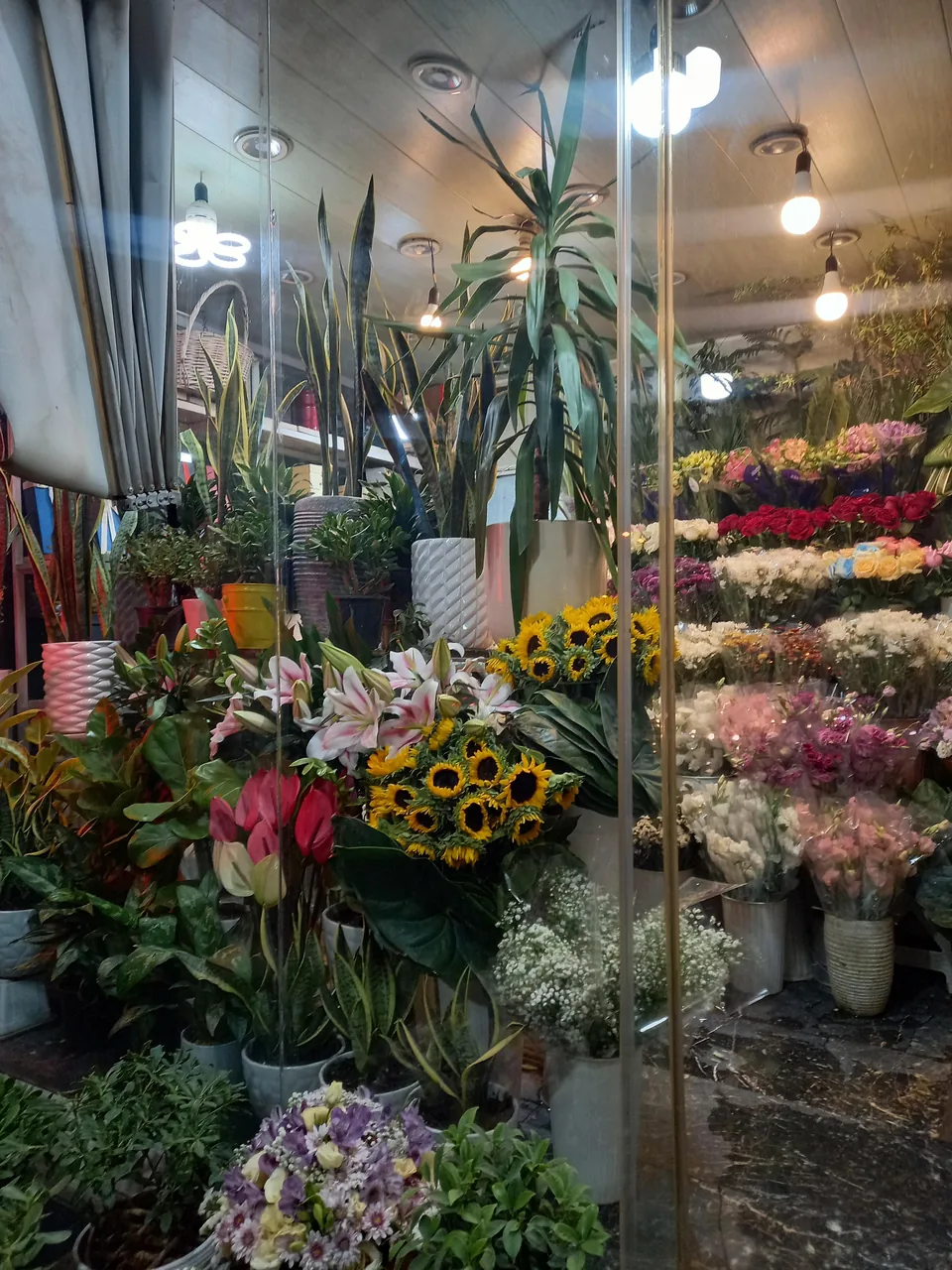 گلفروشی ولنجک - تصویر 6