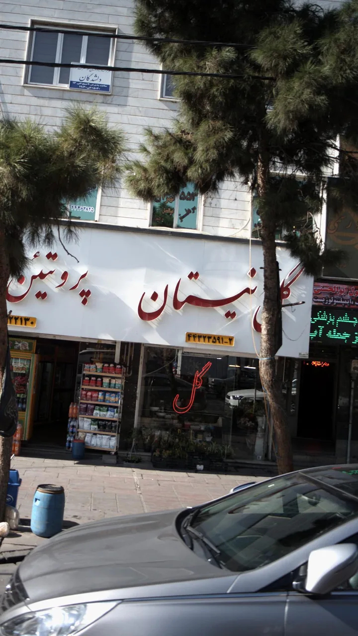 گل نیستان