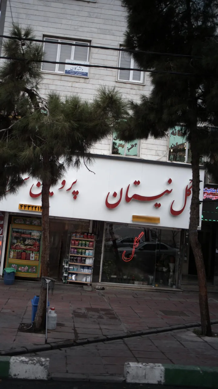 گل نیستان - تصویر 2