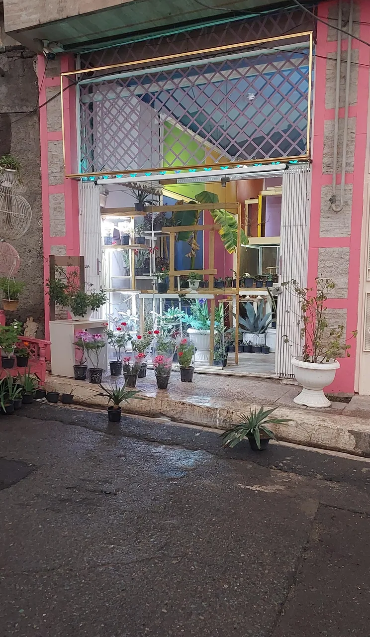 گل لند نیما - گل‌فروشی در تهران - تصویر 2