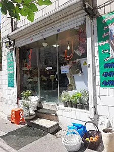 گل فروشی ونوس