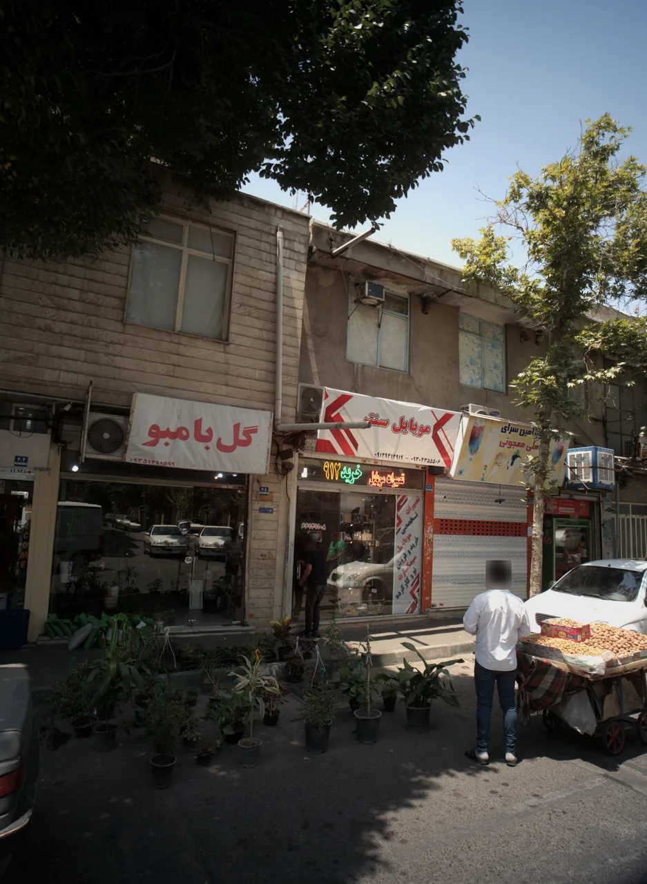 گل بامبو