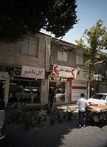 گل بامبو