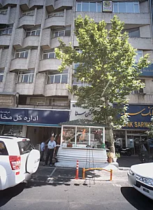 گل فروشی