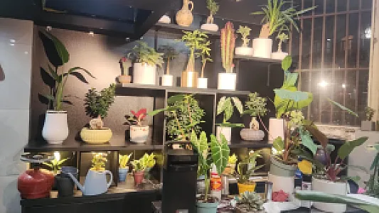 گلفروشی آدلی