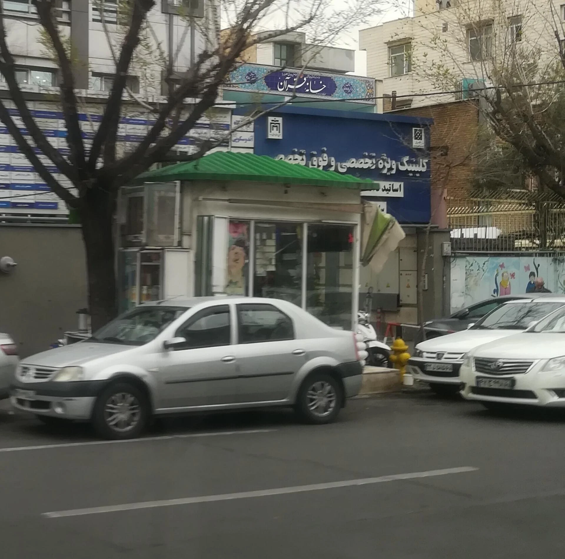 گل مینا