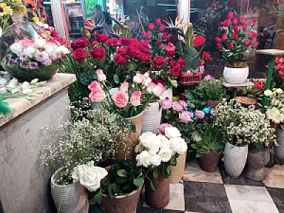 گلزار طبیعت