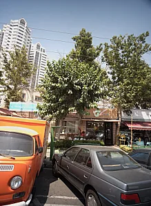 گل خانه