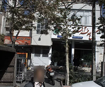 گل نیلوفر آبی