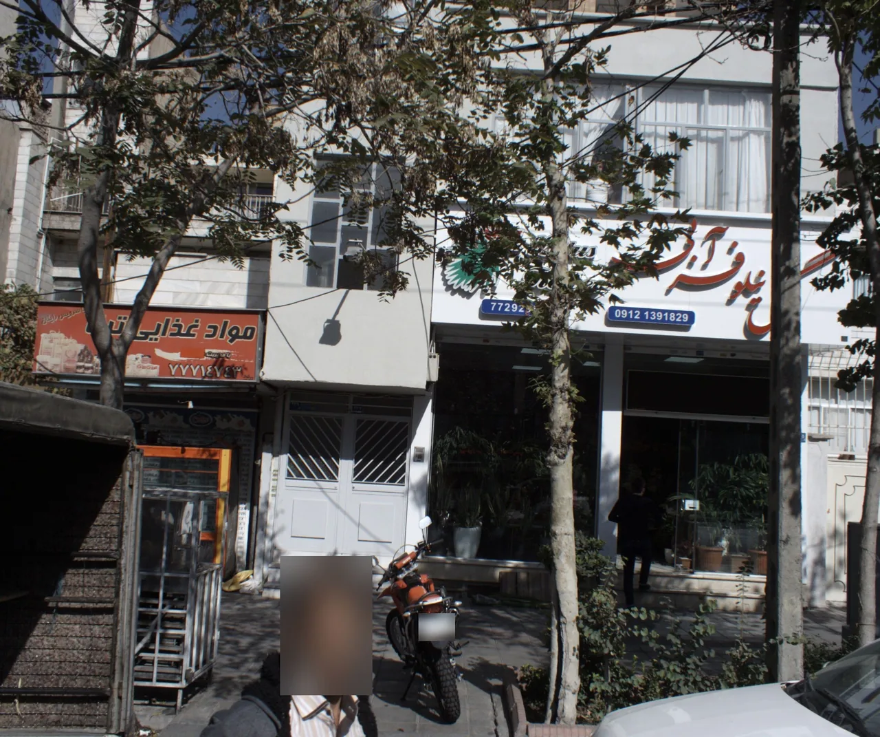 گل نیلوفر آبی