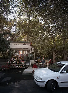 گلفروشی قیطریه