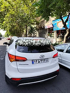 گل فروشی سرگل