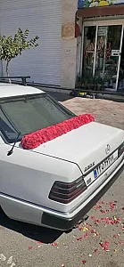 گلسرای پرنس