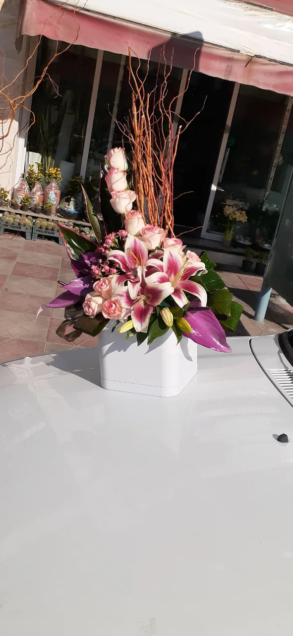 گلسرای پرنس - تصویر 3