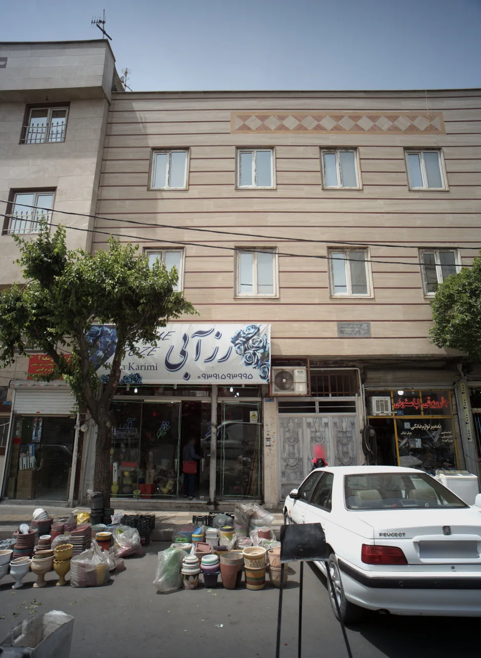 گل فروشی رز آبی