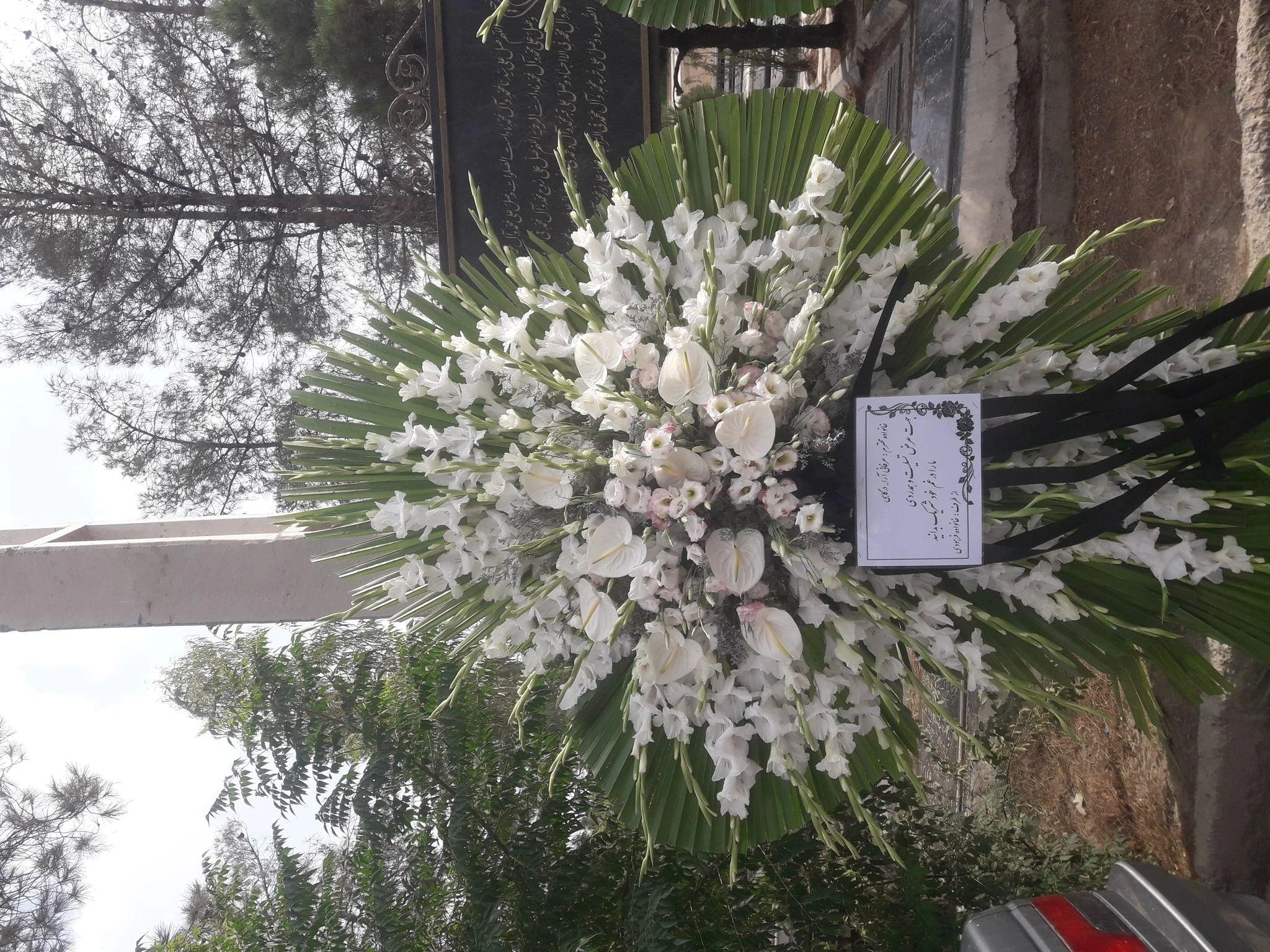 گلسرای سئول - تصویر 3