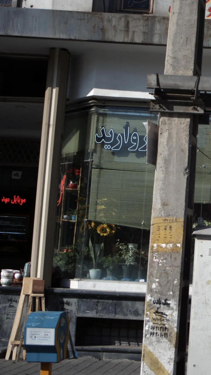گل فروشی مروارید