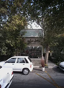 گل سایه