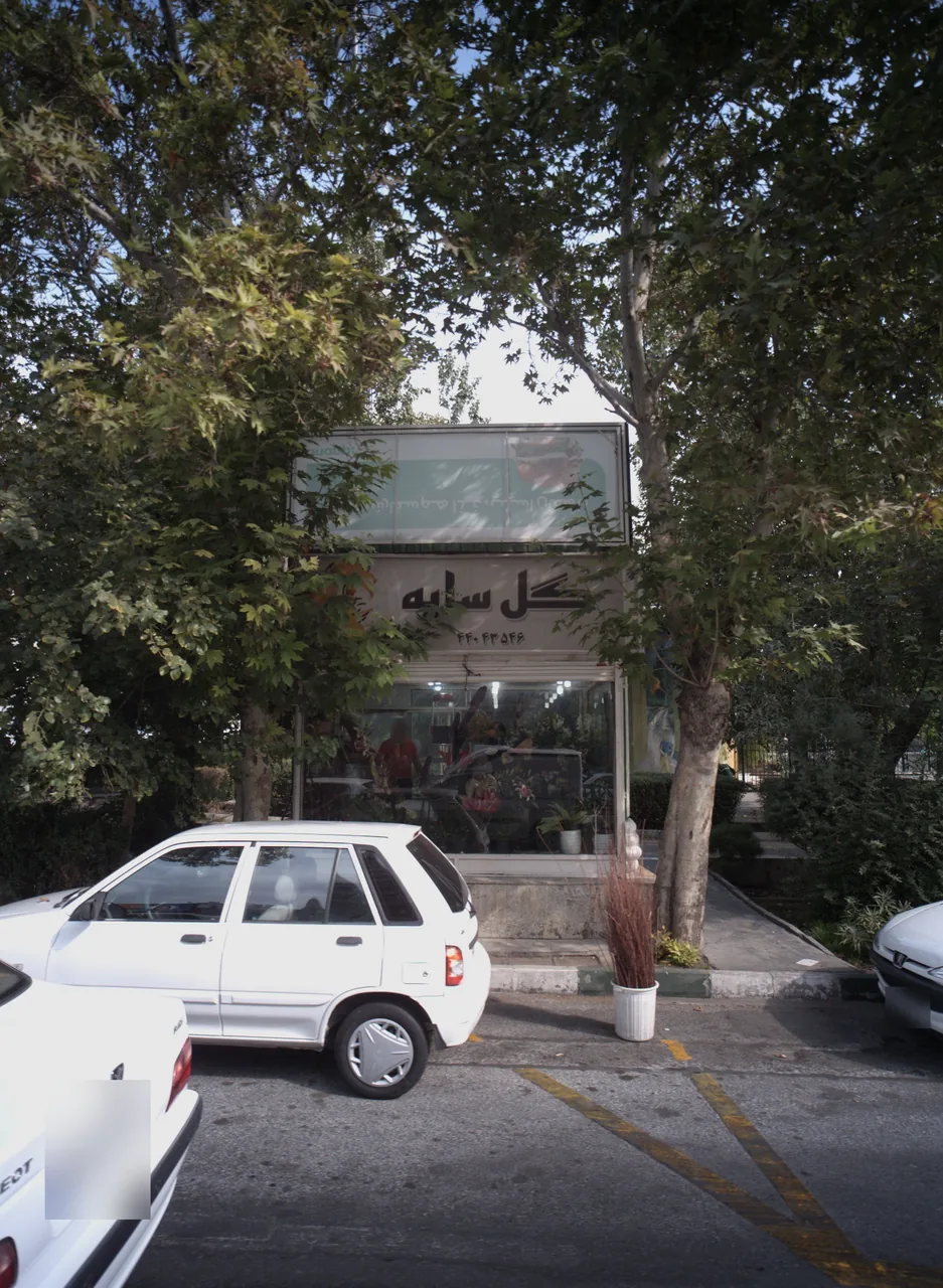 گل سایه