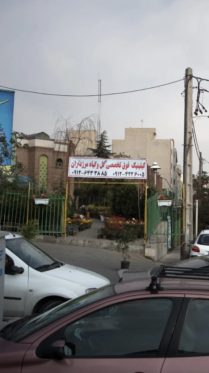 کلینیک فوق تخصصی گل و گیاه مرزداران - گل‌فروشی در تهران - تصویر 2
