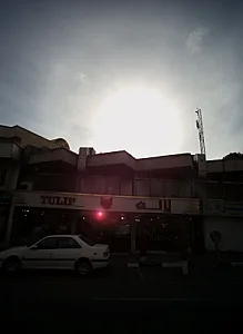 گل فروشی لاله