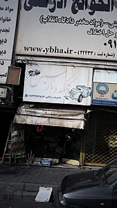 گلکده نارسیس