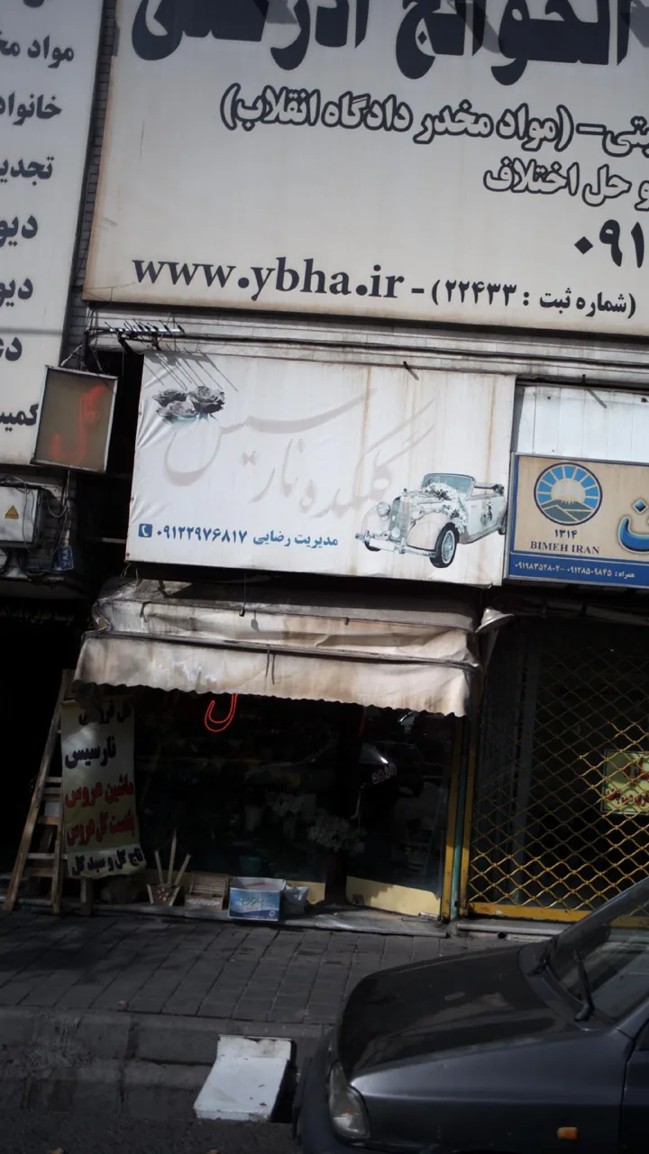 گلکده نارسیس