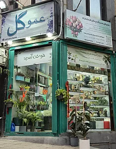 گلفروشی عموگل