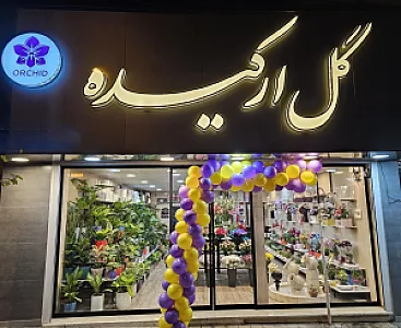 گل ارکیده