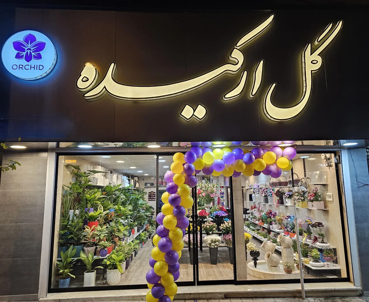 گل ارکیده
