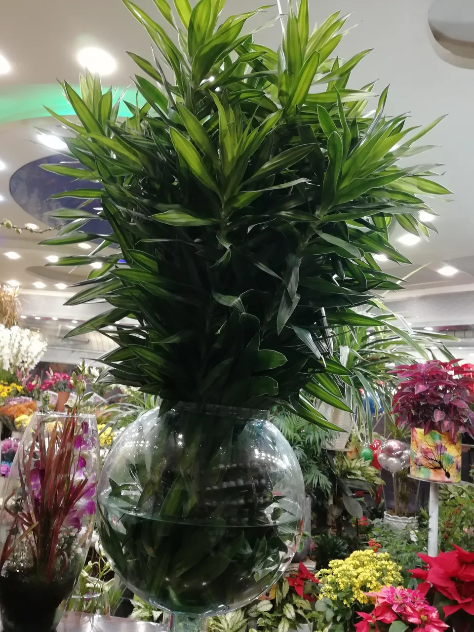 گل فروشی نگین - تصویر 4
