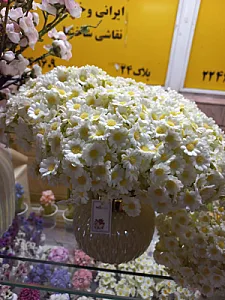 گلفروشی سنا