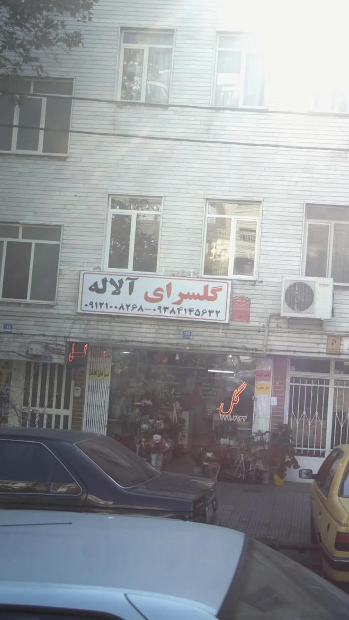 گلسرای آلاله - تصویر 2