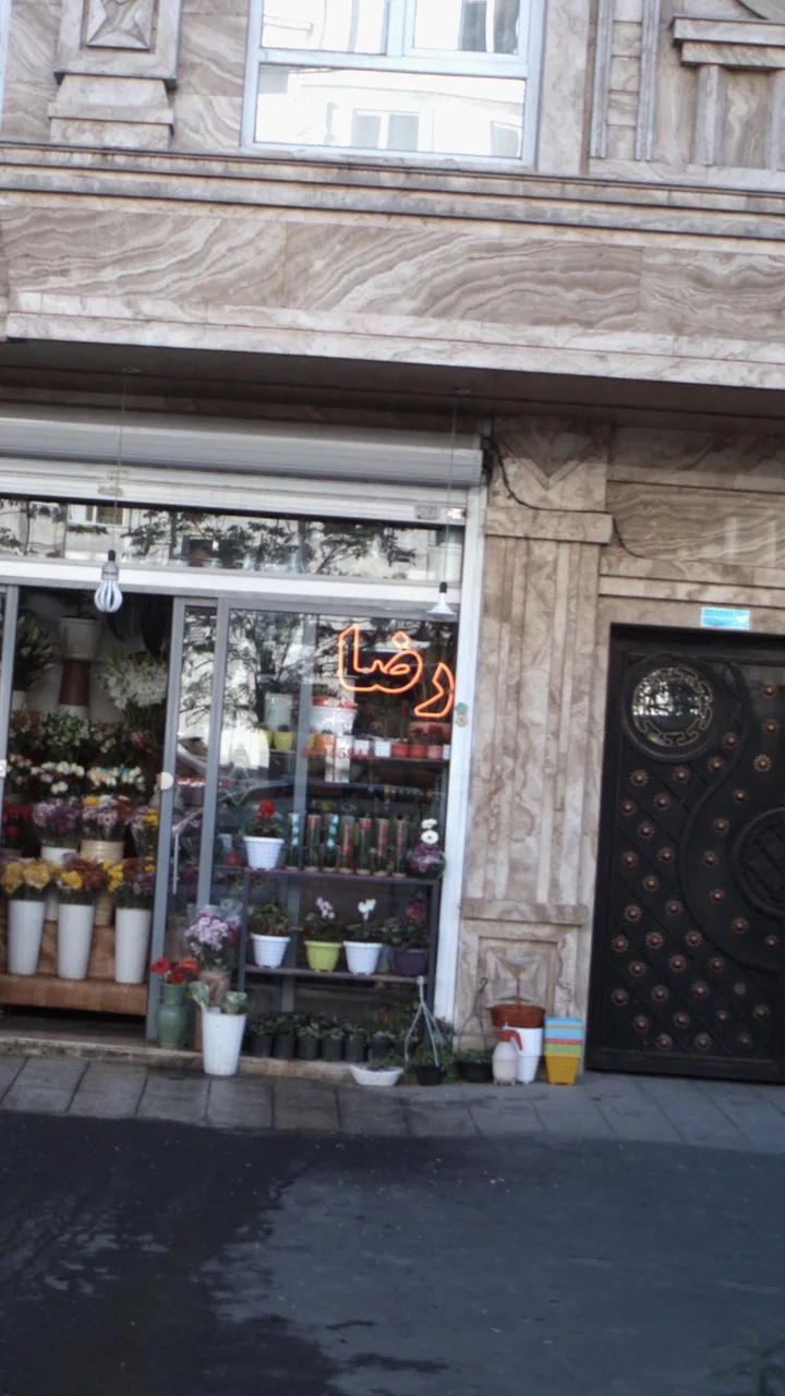 گل فروشی رضا