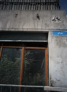 فروشگاه گل و درختچه