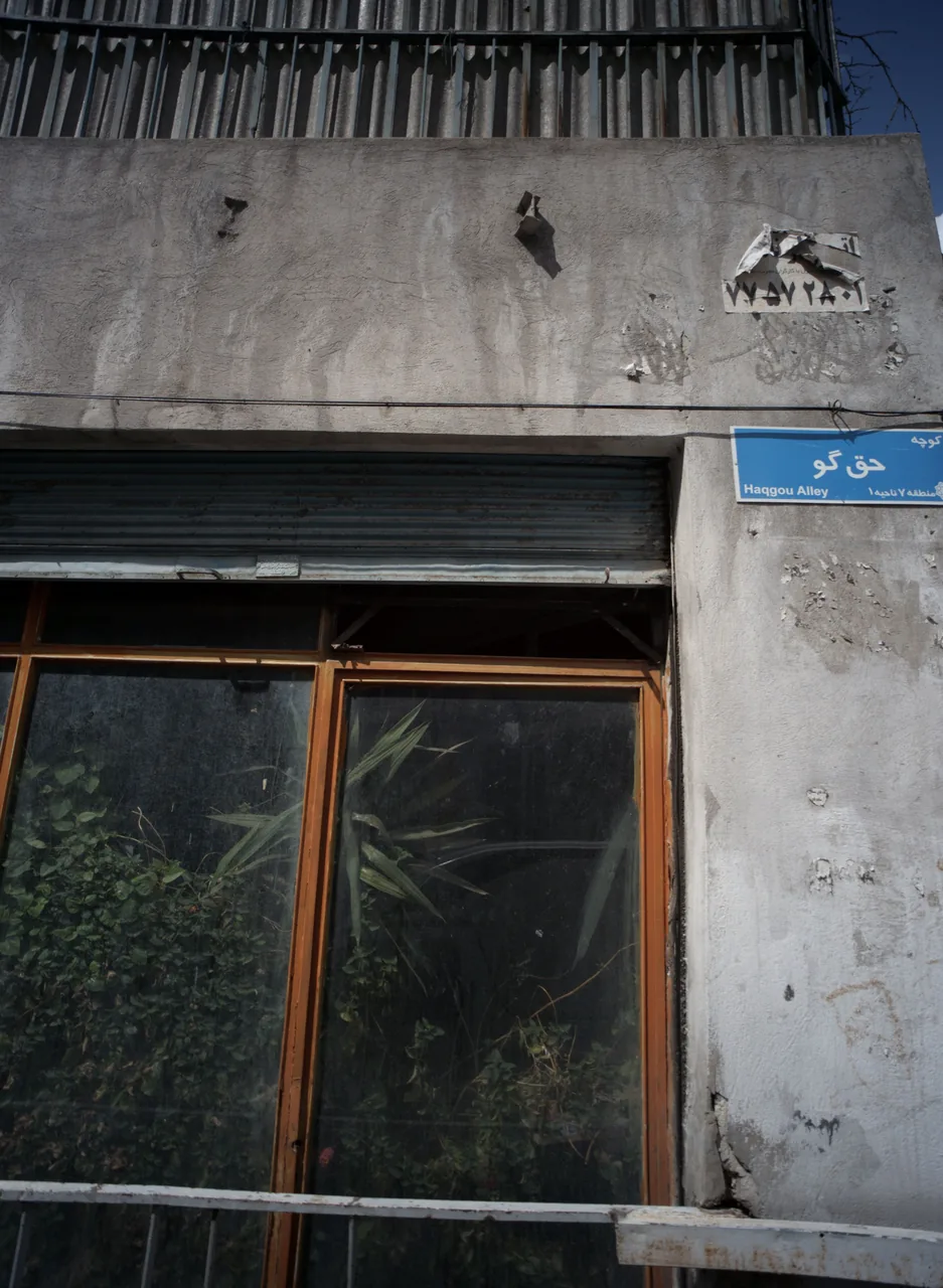 فروشگاه گل و درختچه