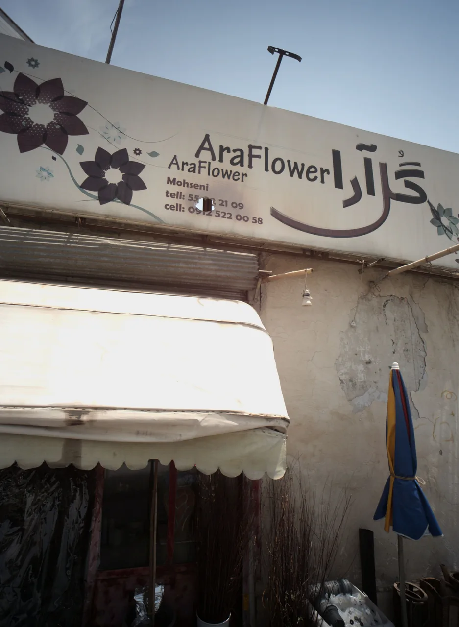 گل آرا - تصویر 2