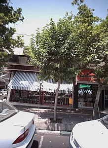 گل سهروردی
