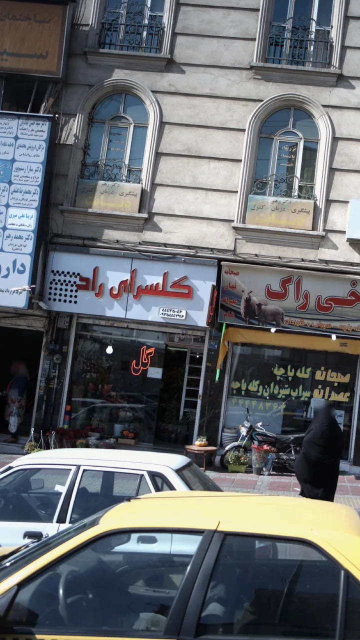 گلسرای راد - تصویر 2